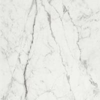 Falicsempe PCV MOTIVO Blank Marble