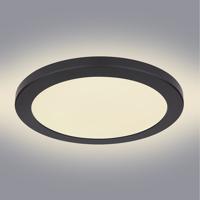 Mennyezeti lámpa 12379-24B LED 24W D30 Fekete PL1